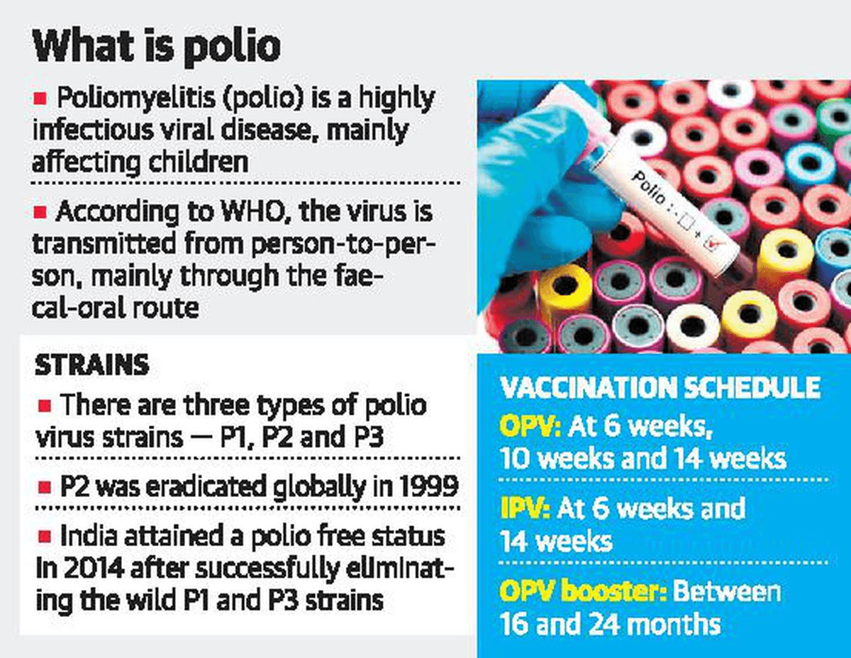 Illustration for Global Polio Resurgence Factors (Poliovirus Outbreak)
