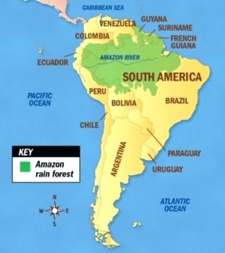 Illustration for Green Banks for Climate Finance (Climate Finance Banking)