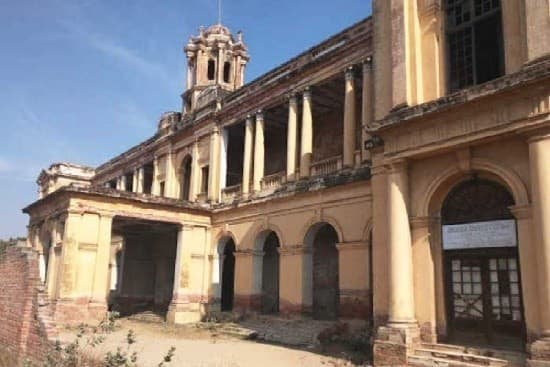 Illustration for Brazilian Velvet Ant Ultrablack Trait (Ultrablack Insect)