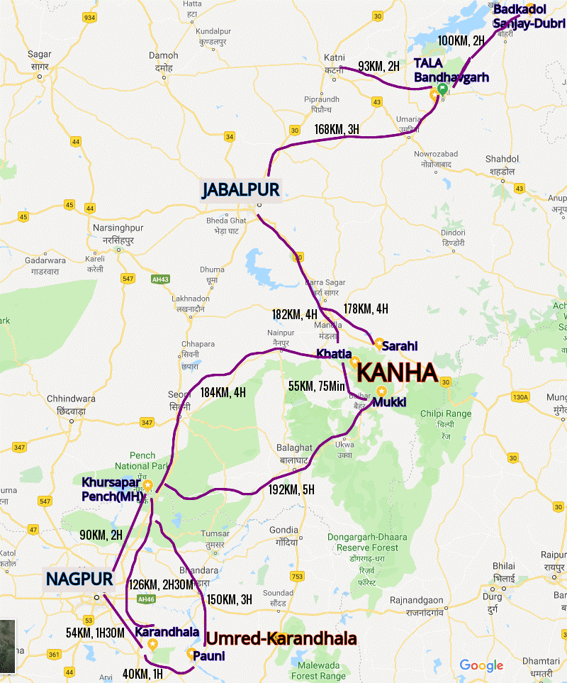 Illustration for Middle Jurassic Dinosaur Footprints Discovery (Dinosaur Footprints)