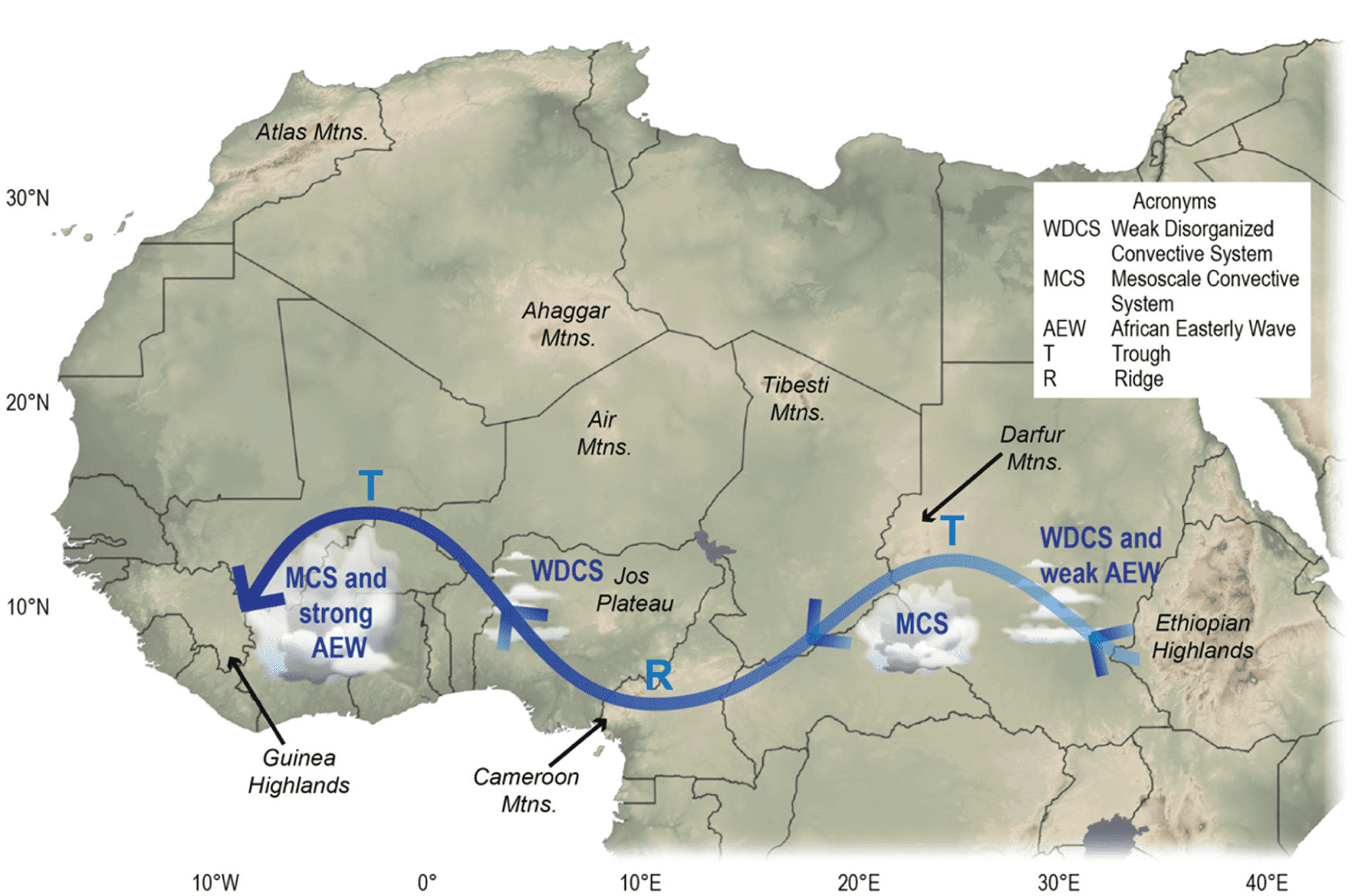 Illustration for Gaddi Dog Indigenous Tag (Indigenous Dog Breed)