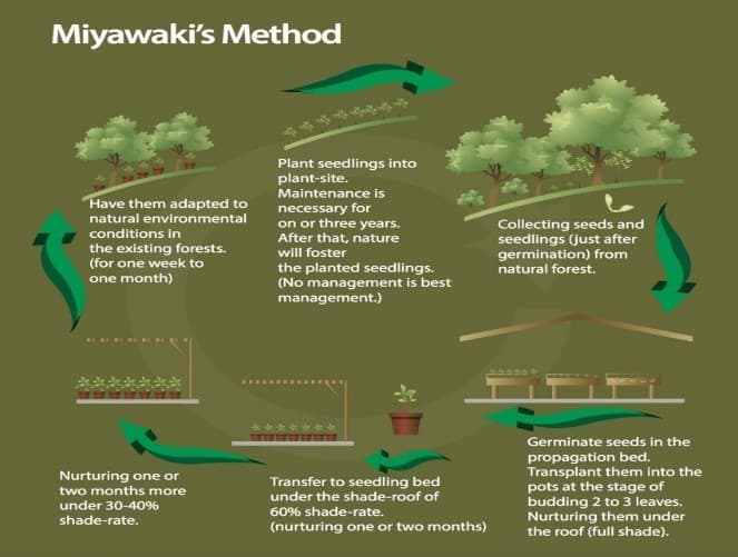 Illustration for AnemiaPhone Point-of-Care Diagnostic (Point-of-Care Device)
