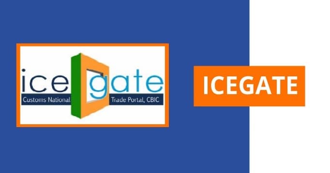 Illustration for ICEGATE Customs Data Platform (Trade Data Management)