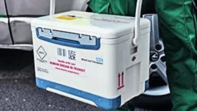 Illustration for Toda Tribe Modhweth New Year Festival (Tribal Rituals)