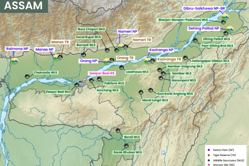 Illustration for Hoollongapar Gibbon Sanctuary (Wildlife Sanctuary)