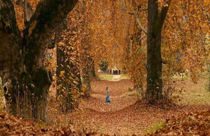 Illustration for Indus Water Treaty Dispute Resolution (Water Treaty)