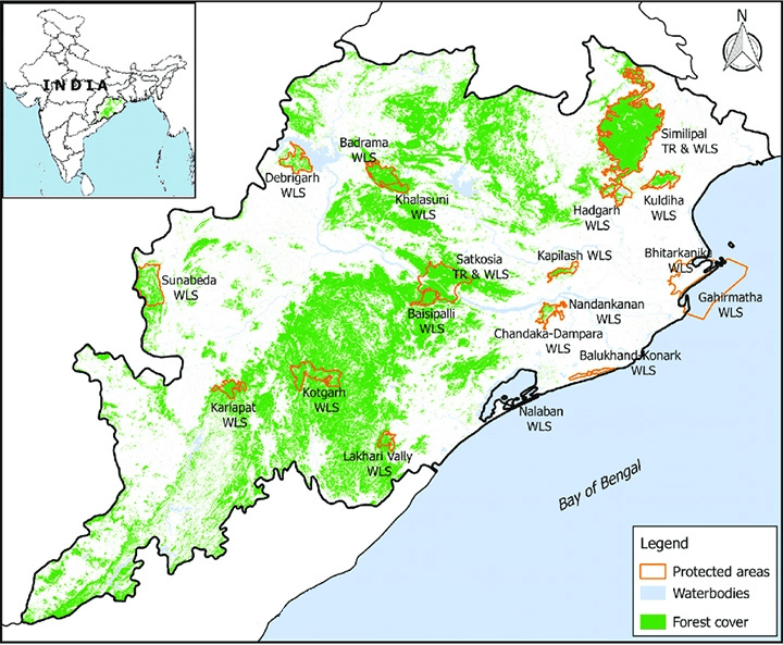 Illustration for Bhitarkanika Saltwater Crocodile Census 2025 (Saltwater Crocodile)