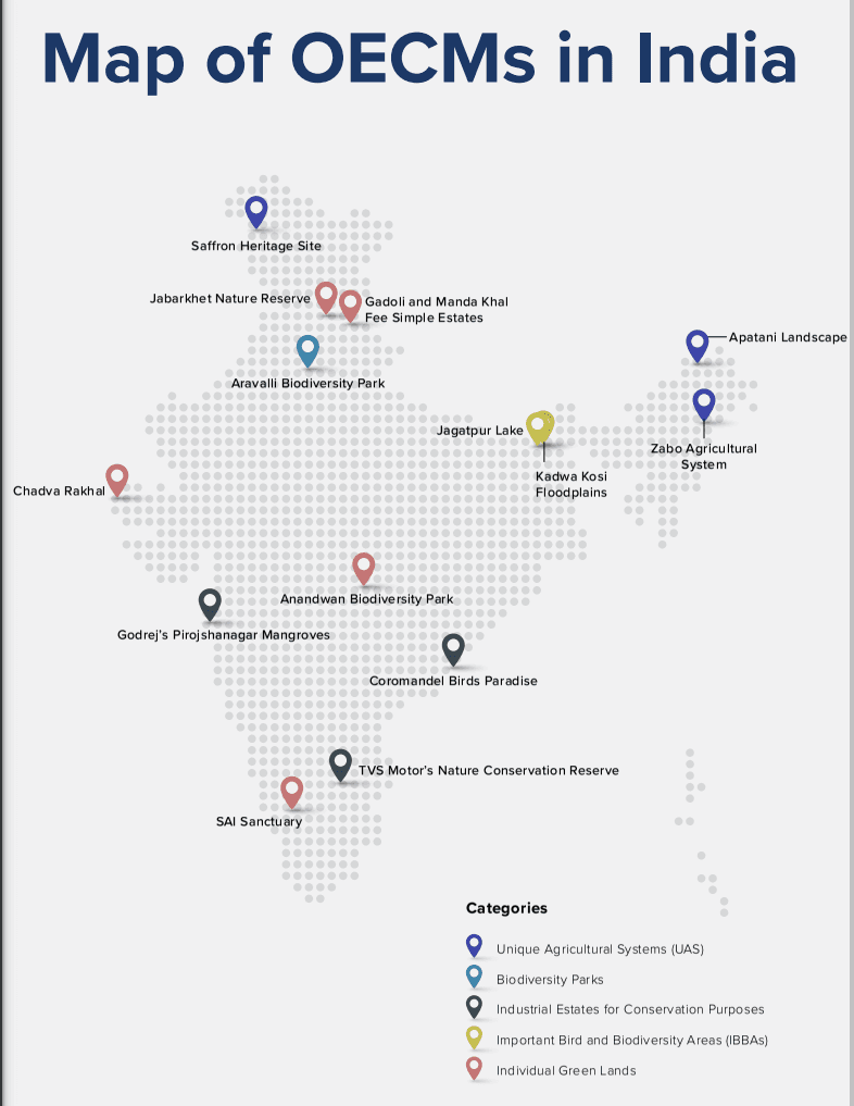 Illustration for Tree Aadhaar for Kashmir Chinars (Chinar Conservation)