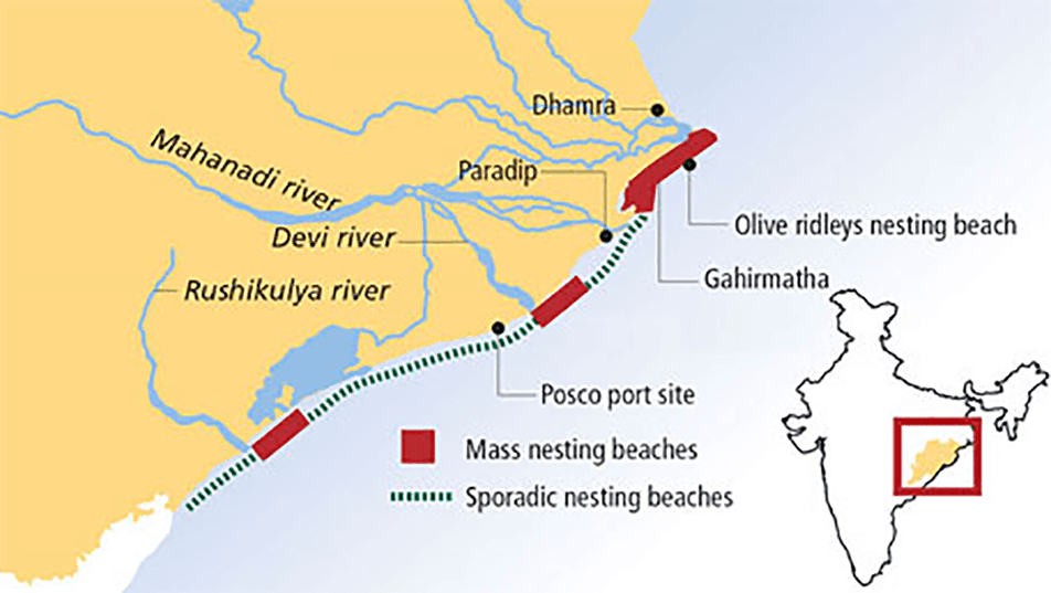 Illustration for ISRO Launch Vehicles Overview (Launch Vehicles)
