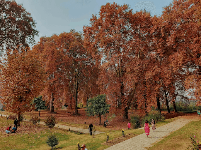 Illustration for Exoplanet WASP-127b Supersonic Winds (Exoplanet Winds)