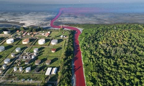 Illustration for Sarandí Stream Chemical Pollution (Water Pollution)