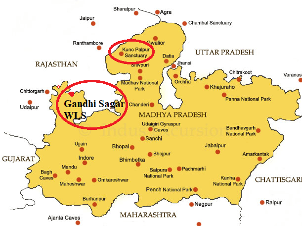 Illustration for Gandhi Sagar Wildlife Sanctuary Profile (Cheetah Habitat)