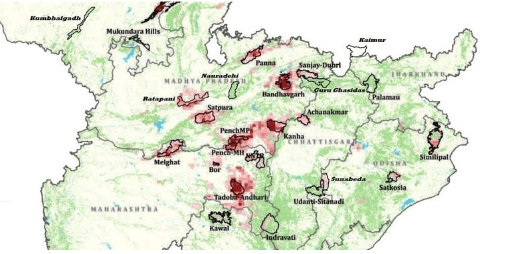 Illustration for Morand-Ganjal Project Threatens Tiger Reserves (Tiger Habitat Threat)