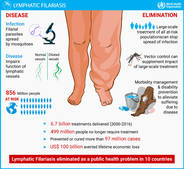 Illustration for Lymphatic Filariasis Elimination Drive (Parasitic Disease)