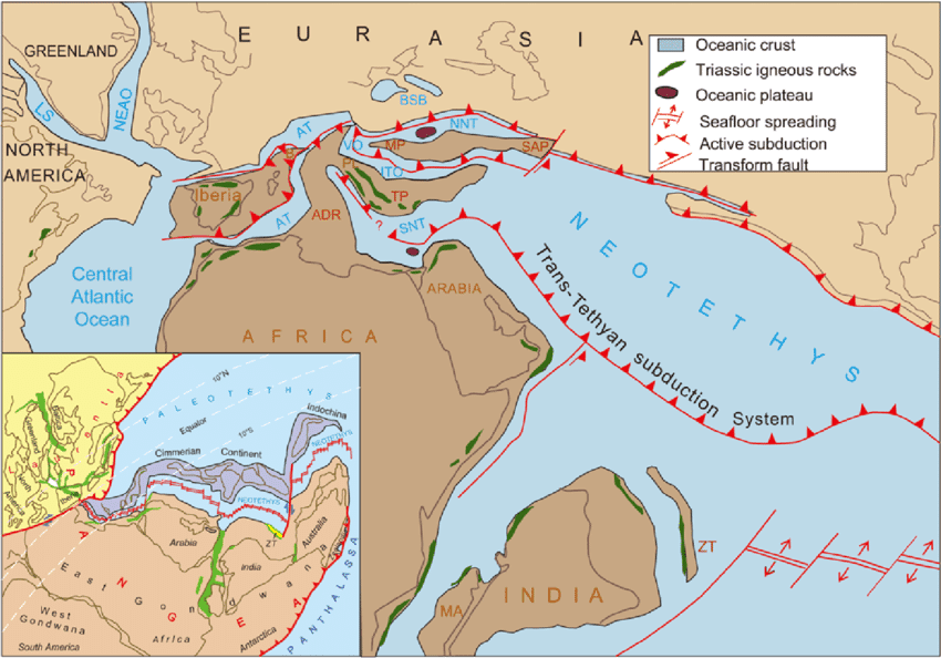 Illustration for Delhi Seismic Activity (Seismic Zones)