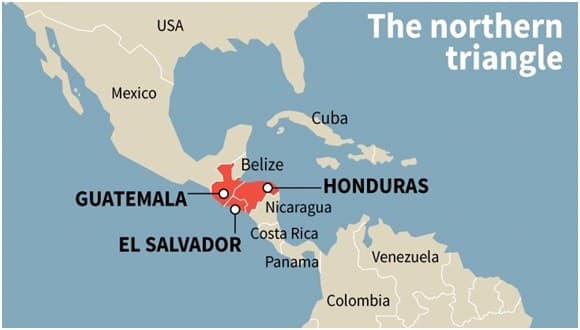 Illustration for Global Sea Ice Decline (Polar Ice Loss)
