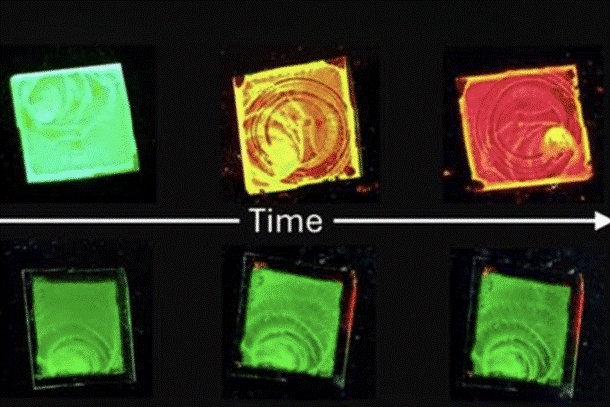 Illustration for Solar Coronal Holes Analysis (Solar Physics)