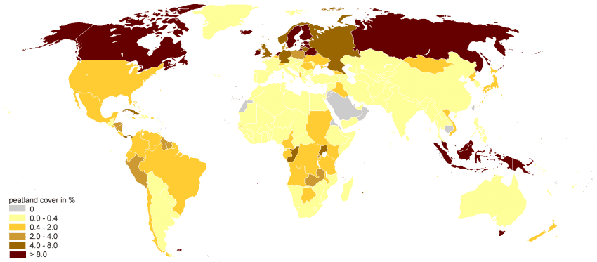 Illustration for Global Peatland Conservation Gaps (Peatland Protection)
