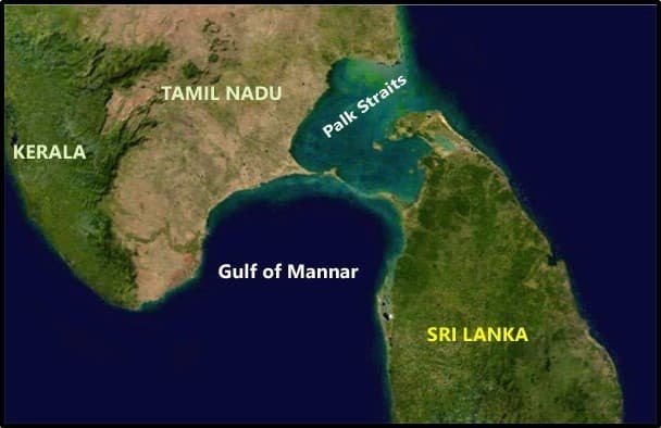 Illustration for Gulf of Mannar Features (Coastal Geography)