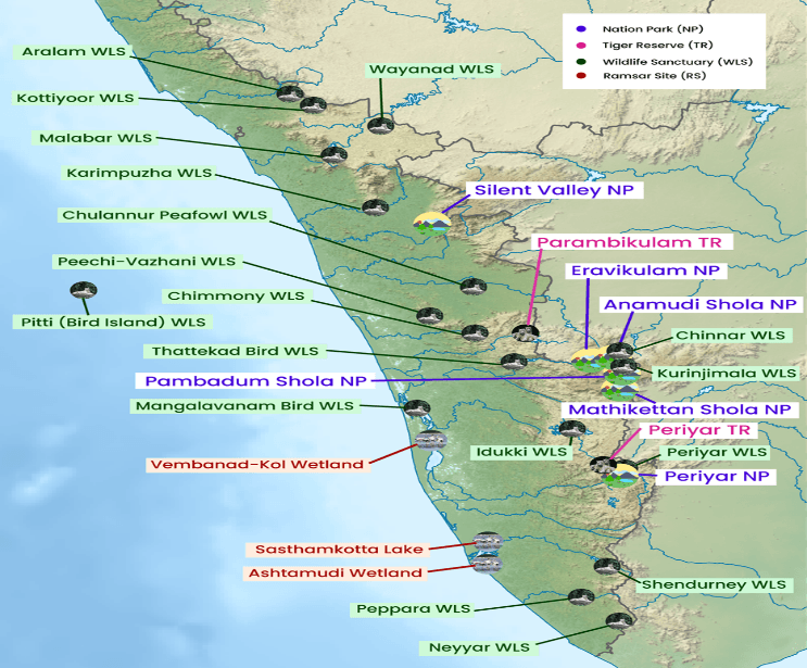 Illustration for Shendurney jumping spider species discovery (New Spider Species)