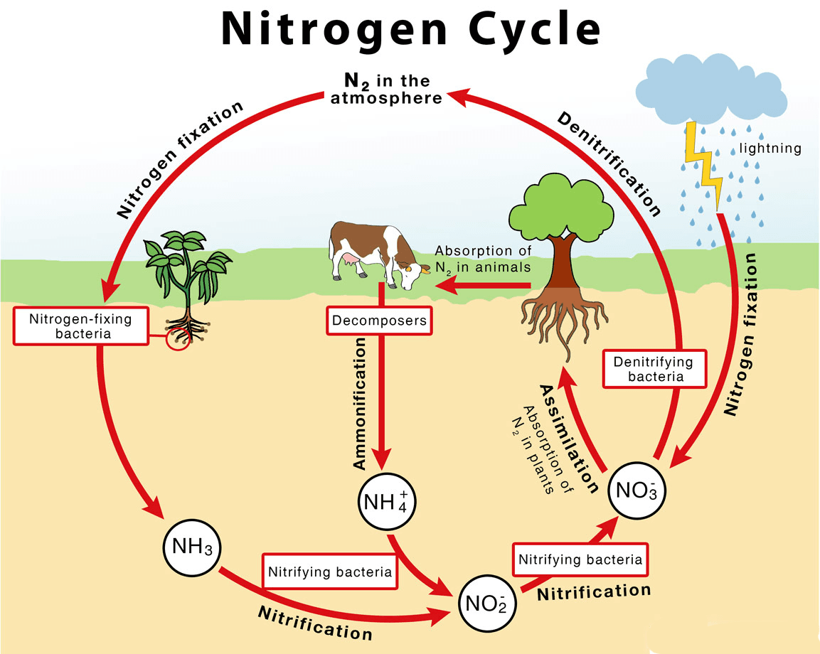 Illustration for PM-YUVA 3.0 Mentoring Scheme (Young Author Mentoring)