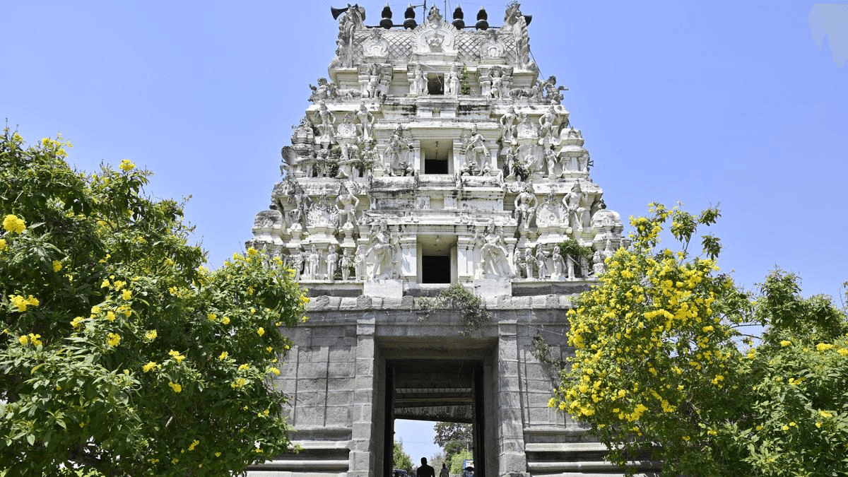 Illustration for Yemen Strategic Geography (Middle East Geography)