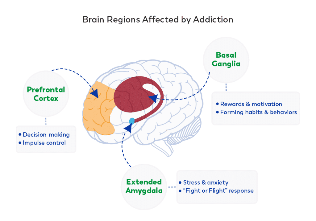 Illustration for Neuroscience Behind Addiction (Addiction Neuroscience)