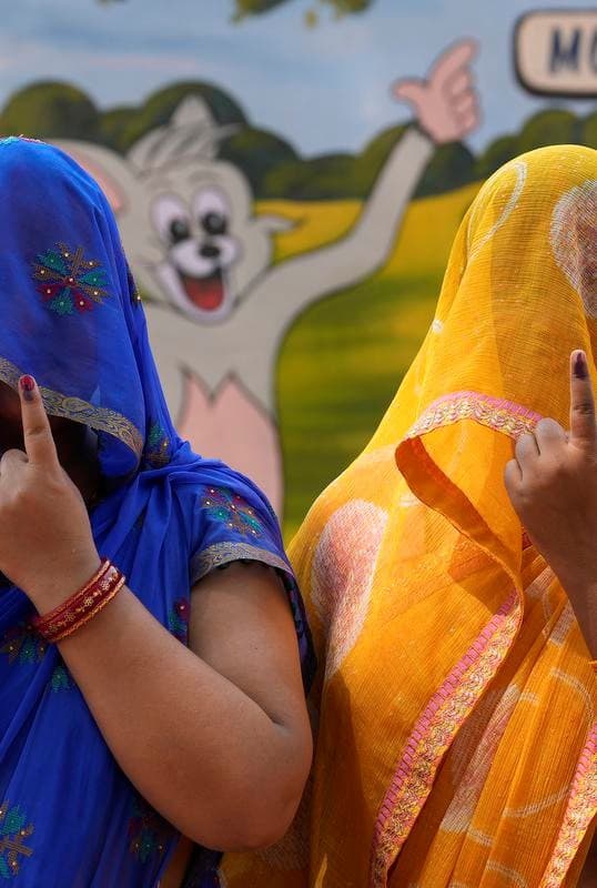 Illustration for Women Voter Participation Trends (Women Voters)