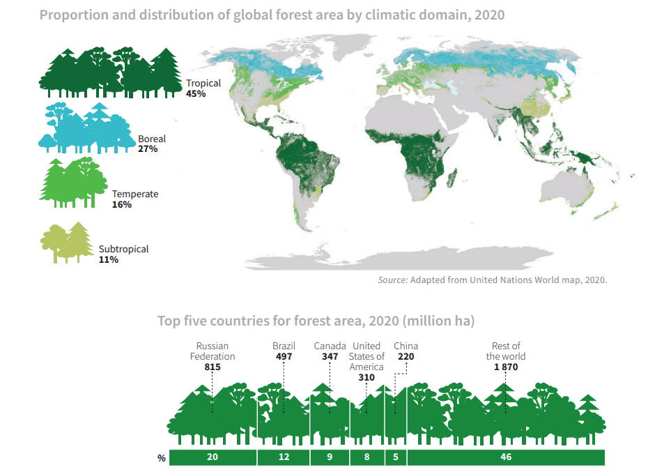 Illustration for World Sparrow Day Awareness (House Sparrow)