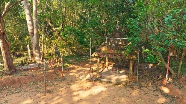 Illustration for Kasampatty Sacred Grove Biodiversity Heritage Site (Biodiversity Heritage)