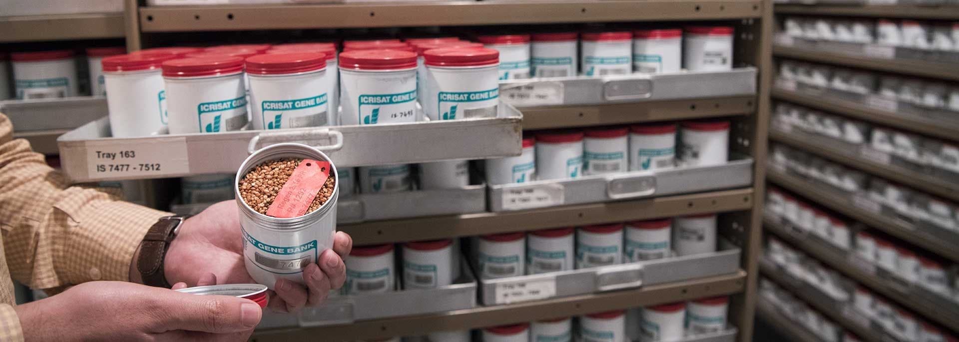 Illustration for Second National Gene Bank Initiative (Crop Germplasm Conservation)