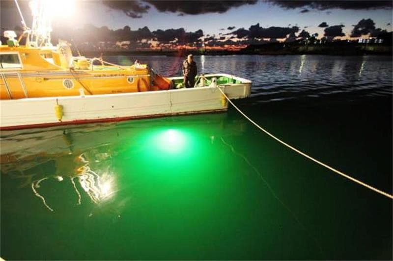 Illustration for Light Fishing Ban and Ecological Impact (Marine Fishing Methods)