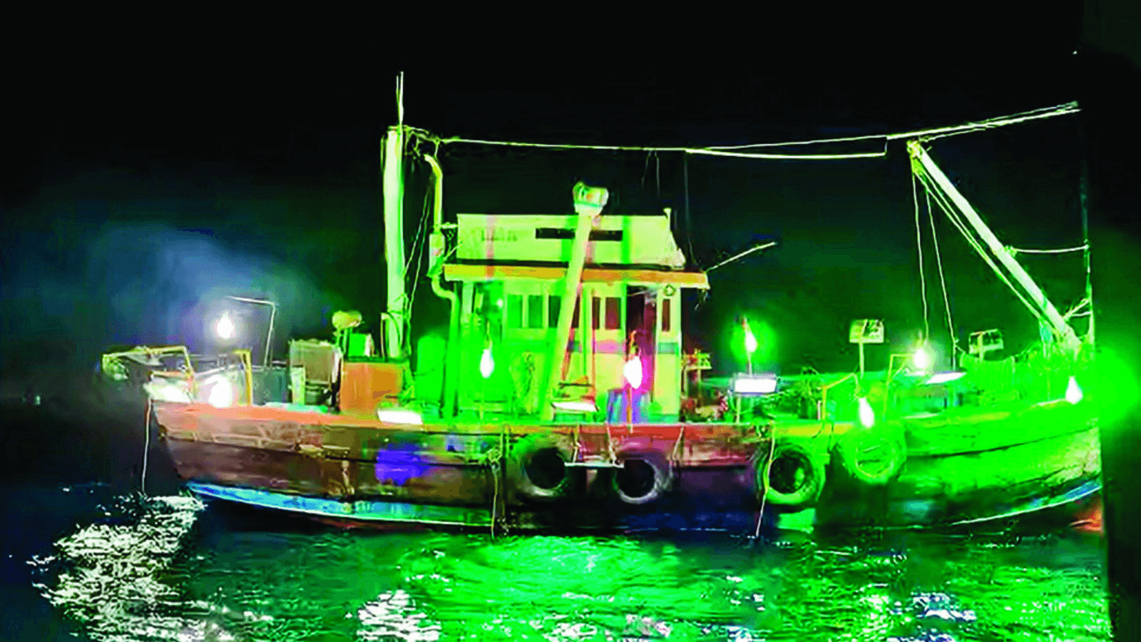 Illustration for Transgenic Research Applications (Transgenic Mice)