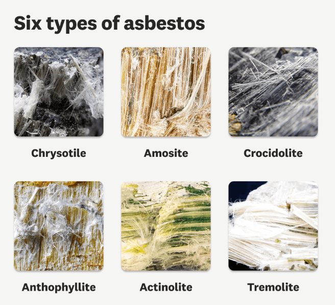 Illustration for Education ministry bans asbestos in central schools (Asbestos Ban)