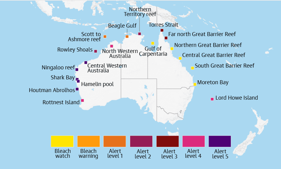 Illustration for Mass coral bleaching hits Australian reefs (Coral Bleaching)