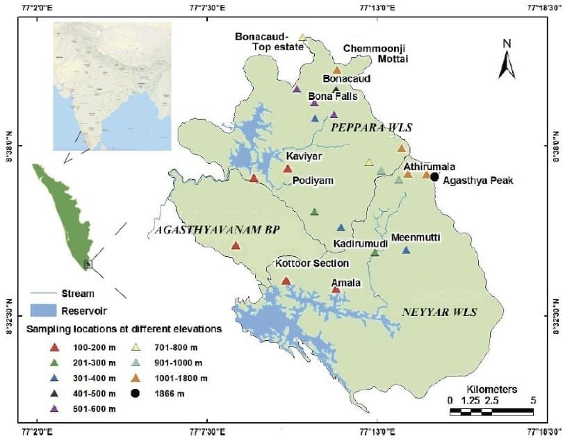 Illustration for Agasthyamalai Biosphere Reserve Survey (Biosphere Reserve)