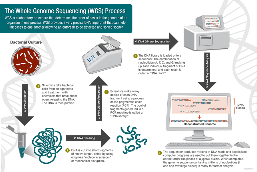 Illustration for GenomeIndia Indian population genome mapping (Genome Mapping)