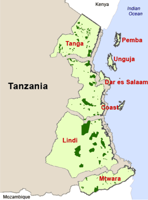 Illustration for Decline of Indigenous Traditional Seeds in India (Indigenous Crop Seeds)