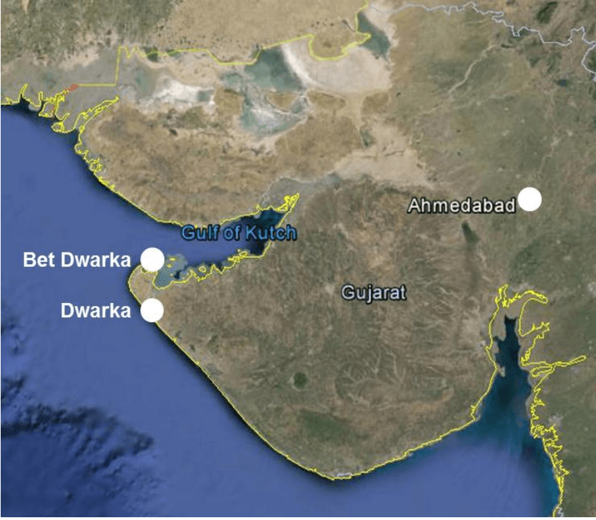 Illustration for People for Ethical Treatment of Animals (Animal Rights NGO)