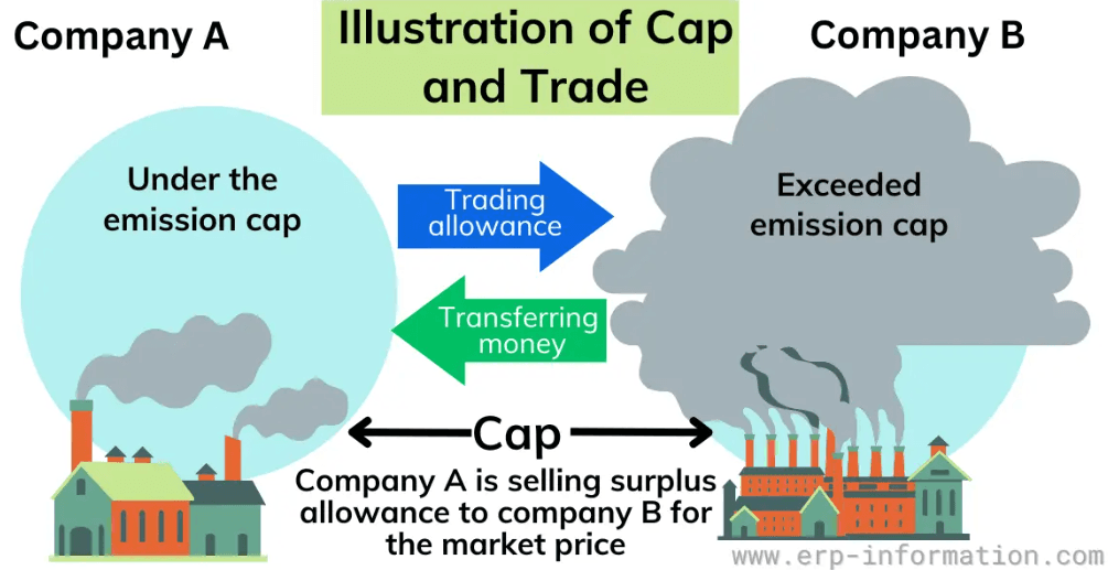 Illustration for Colossal Squid Characteristics (Deep-Sea Species)