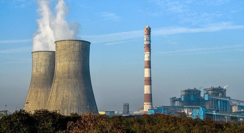 Illustration for DPS Wetland Flamingo Conservation Reserve (Flamingo Reserve)