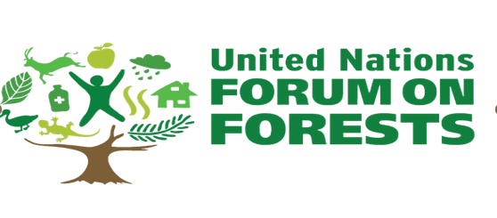 Illustration for India-Pakistan Tension Dynamics (Bilateral Tensions)