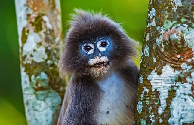 Illustration for Disinformation as Warfare Tool (Information Warfare)