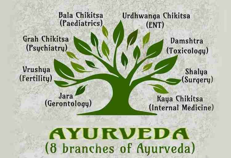 Illustration for Ayurveda Day Observance on 23 September (Traditional Medicine)
