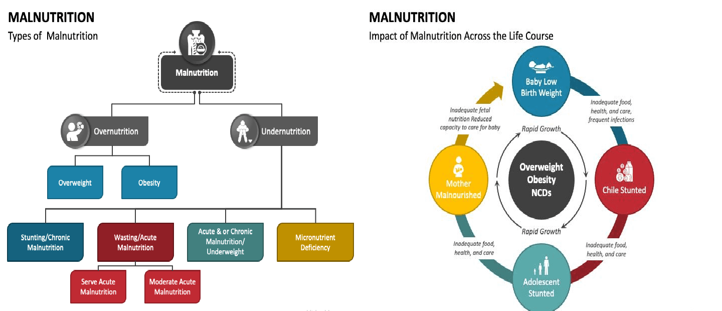 Illustration for Gendered Malnutrition Challenges in India (Gender Nutrition Gap)