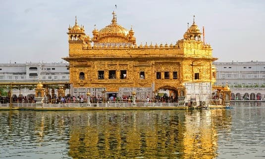 Illustration for Shirui Lily Eco-Festival Manipur (Shirui Lily)