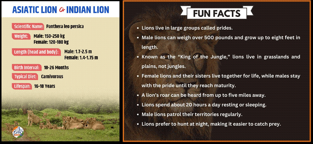 Illustration for 16th Asiatic Lion Census (Asiatic Lion Census)