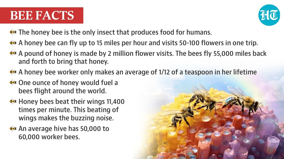 Illustration for Mallakhamb Traditional Sport (Traditional Sport)