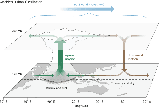 Illustration for Madden-Julian Oscillation Impact (Monsoon Dynamics)