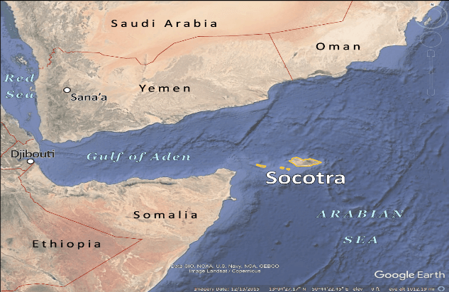 Illustration for Socotra Island Biodiversity Hotspot (Island Geography)